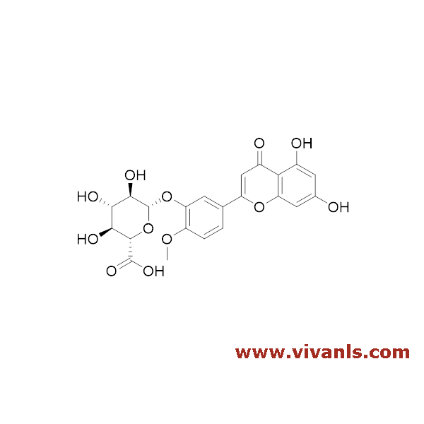 Glucuronides-Diosmetin 3-O-B-D-Glucuronide-1654759381.png